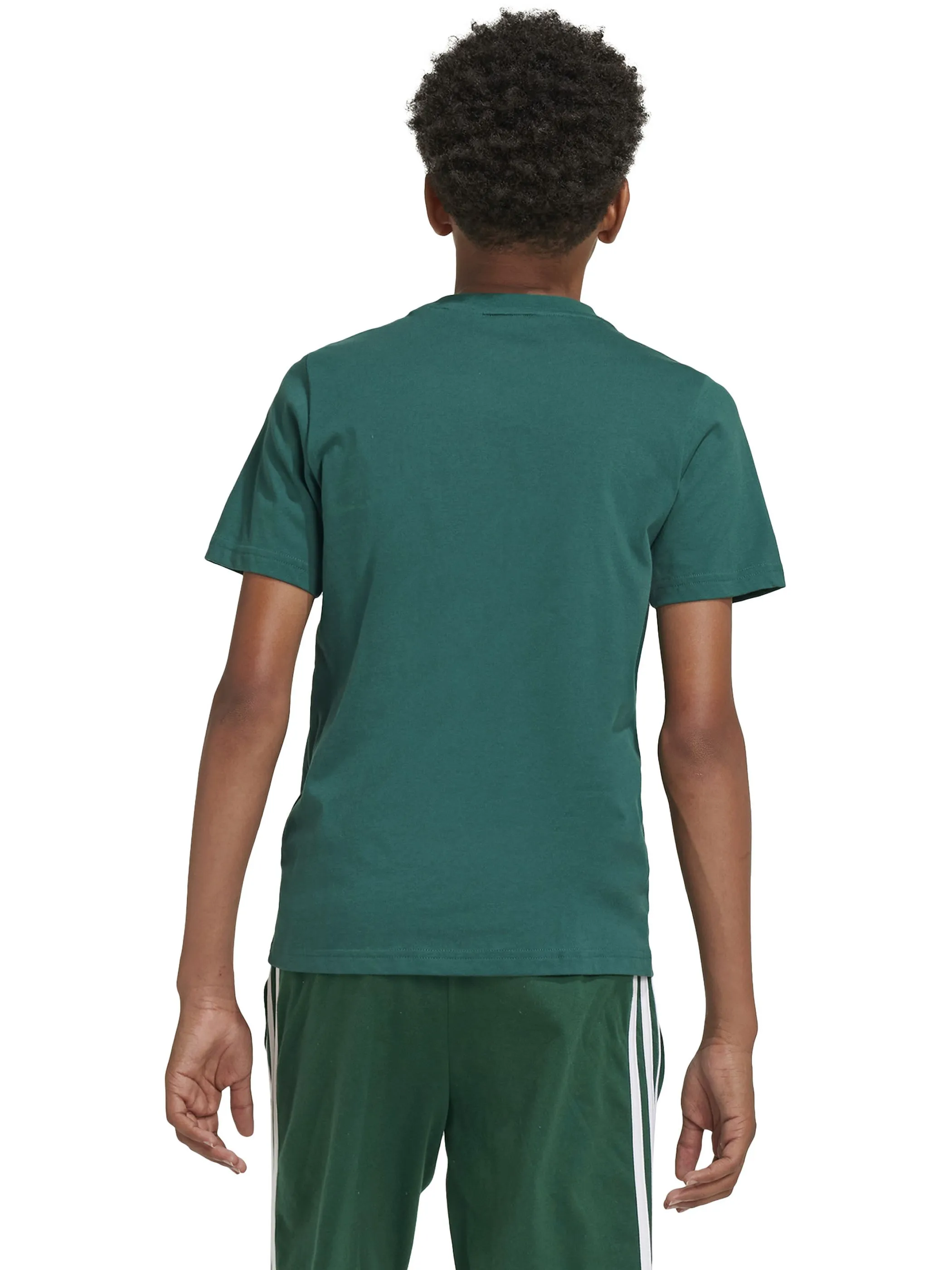 Adidas IX9569 TB-T-Shirt grün LOGO Grün 901279 000 2