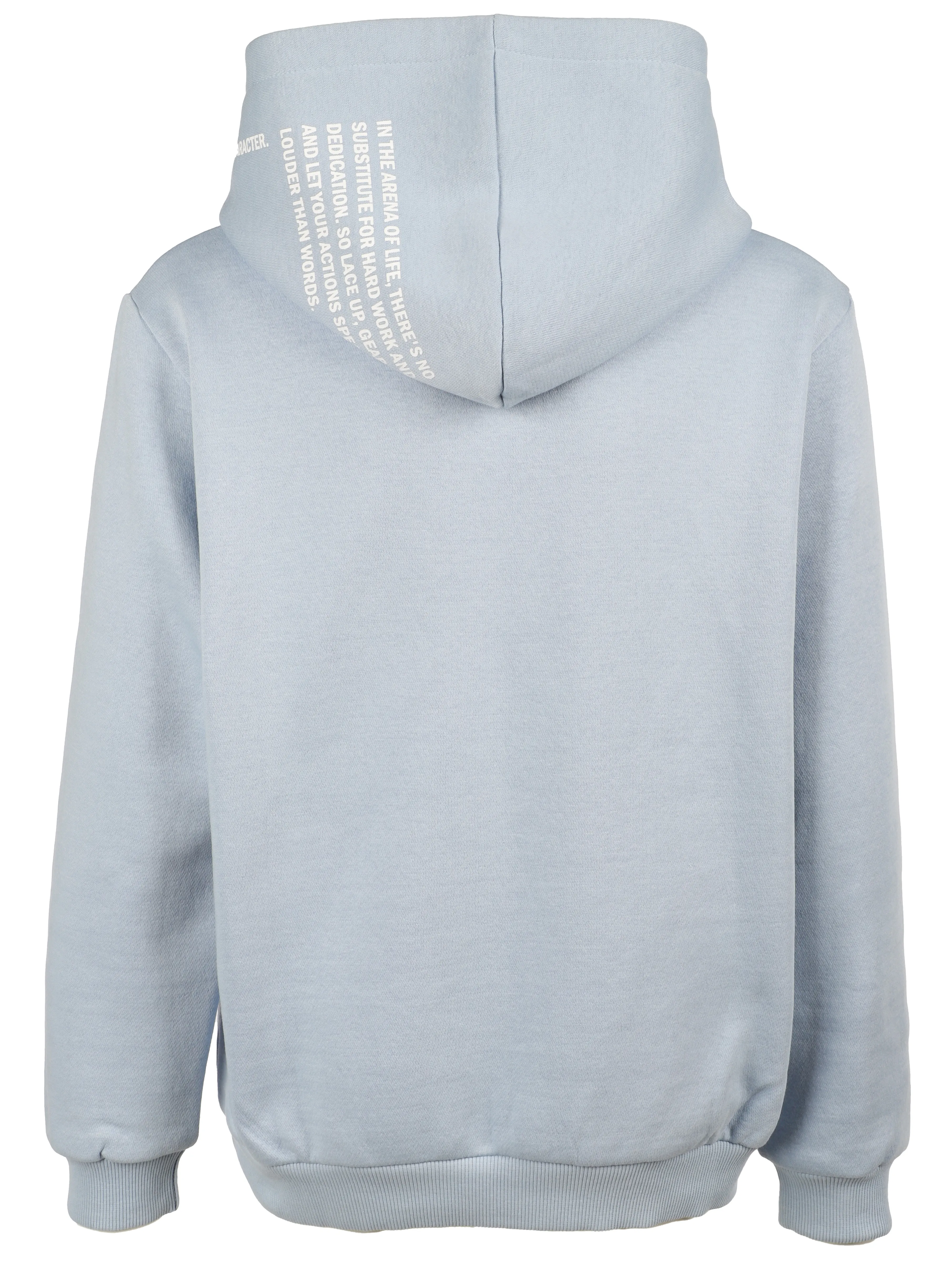 Stop + Go JJ Hoodie mit Print auf Kapuze in hellblau Blau 899472 HELLBLAU 2