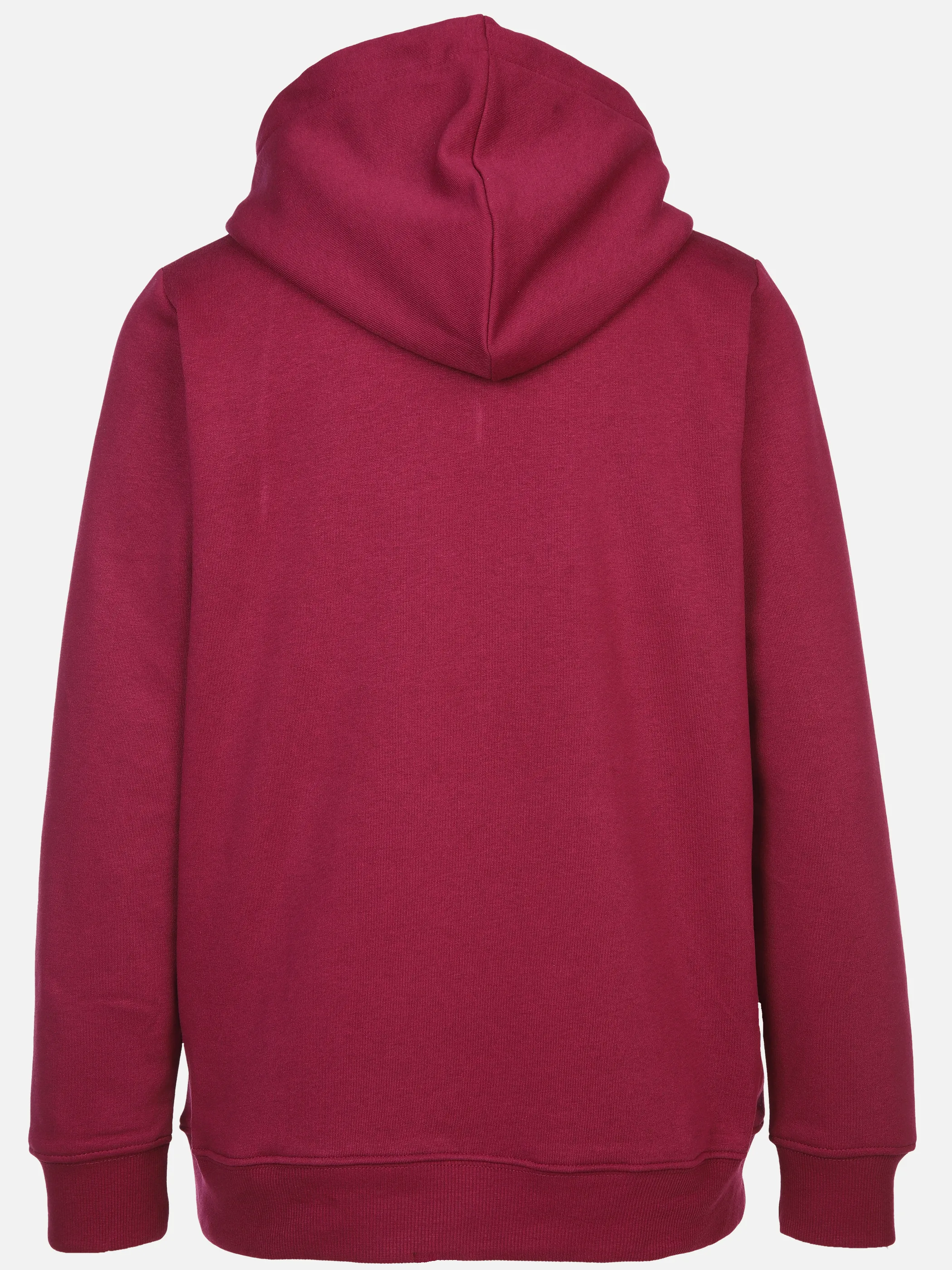 Sure Da-Sweatshirt m. Kapuze Beige 897547 BERRY 2