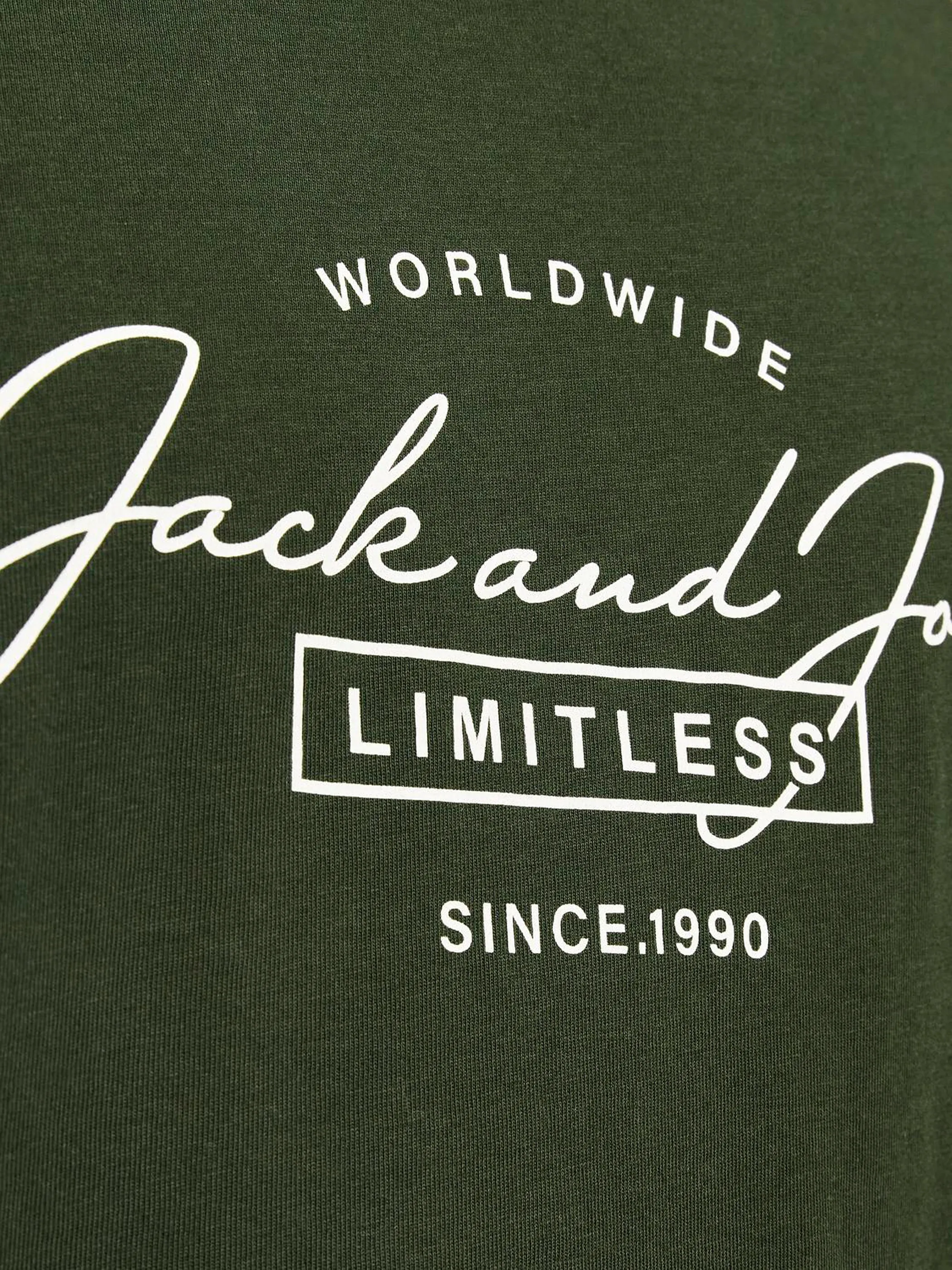 Jack Jones 12256799 JJFERRIS TEE SS CREW Grün 896597 176344002 4