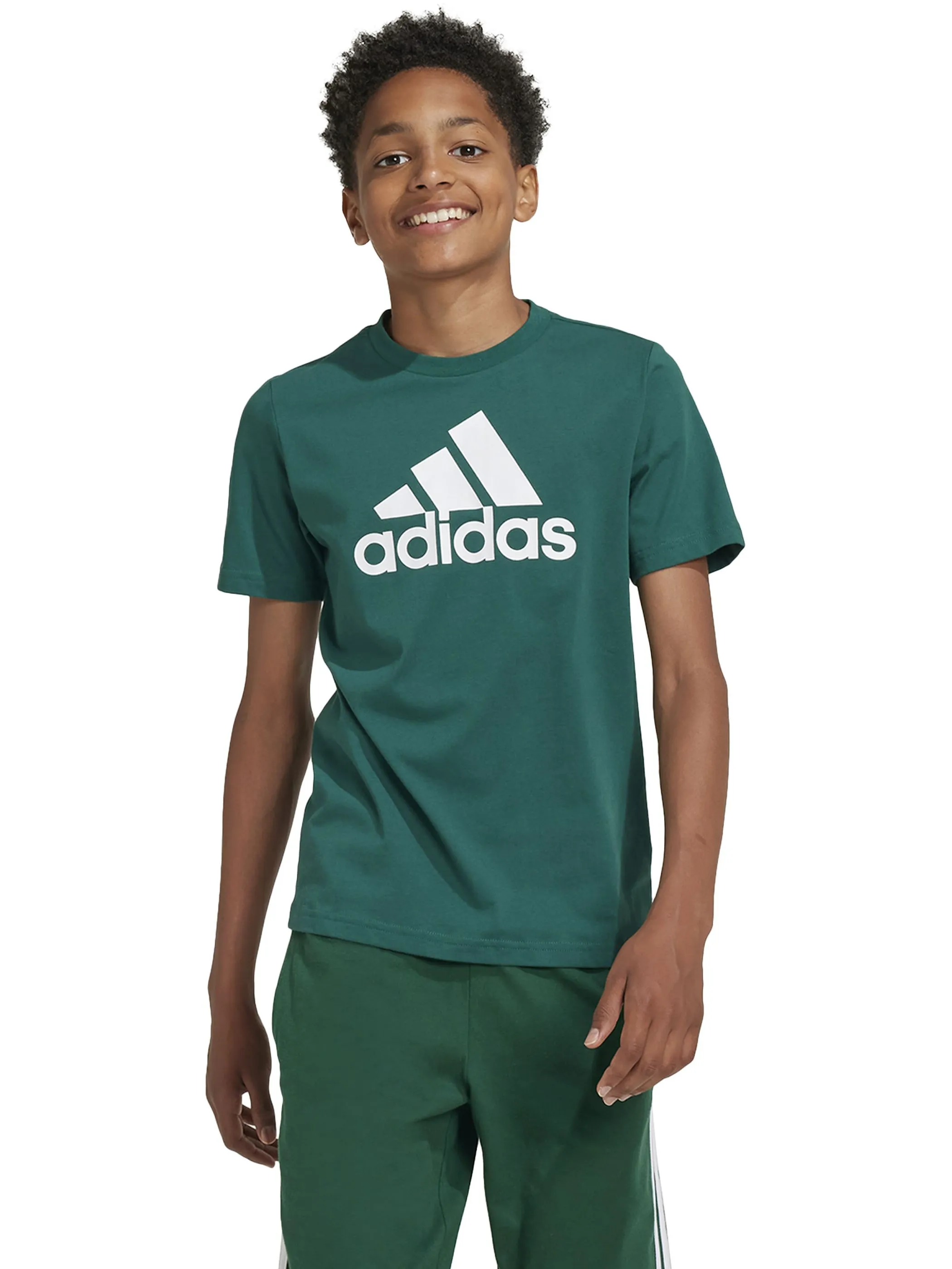 Adidas IX9569 TB-T-Shirt grün LOGO Grün 901279 000 3