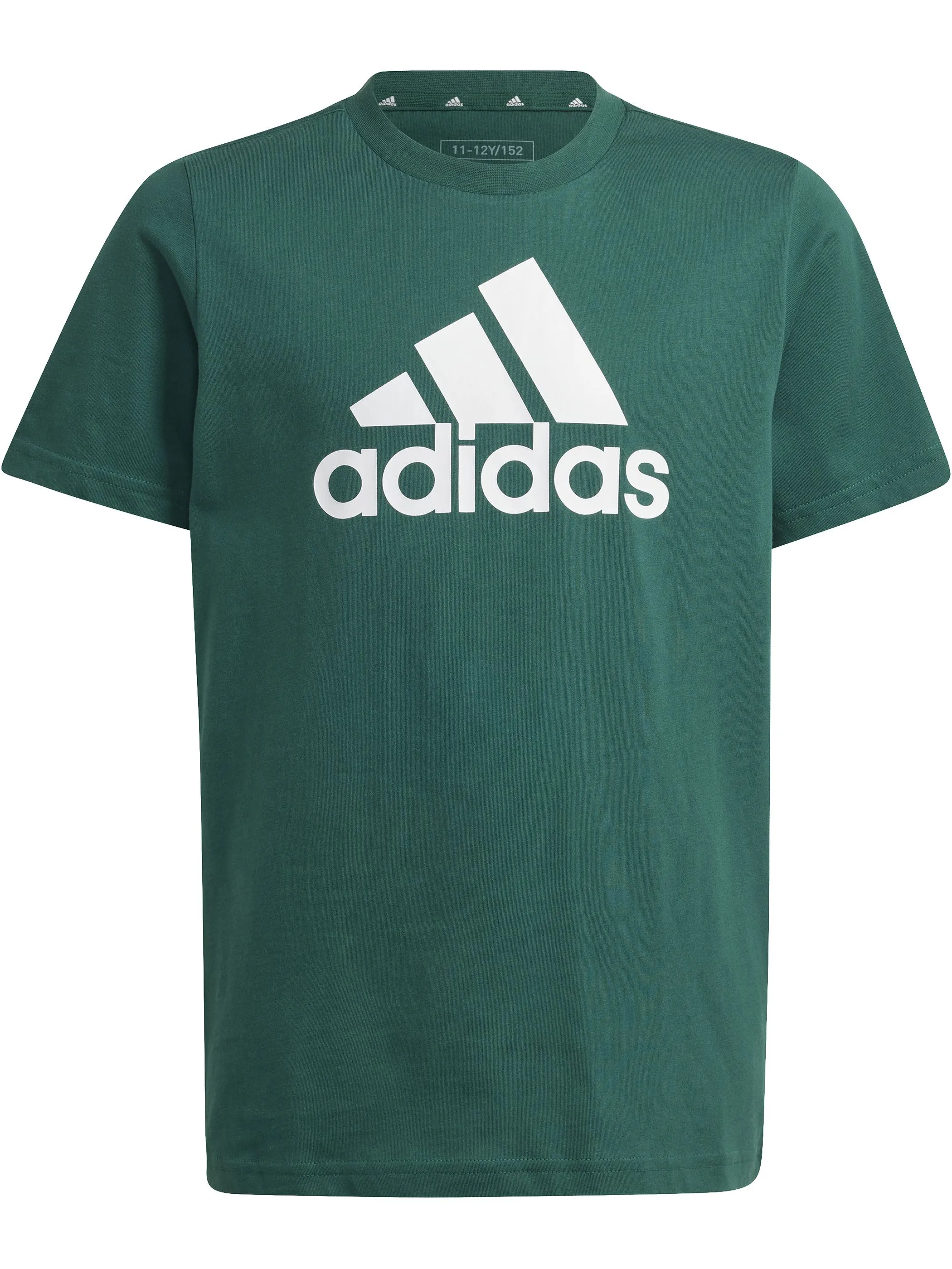 Adidas IX9569 TB-T-Shirt grün LOGO Grün 901279 000 1