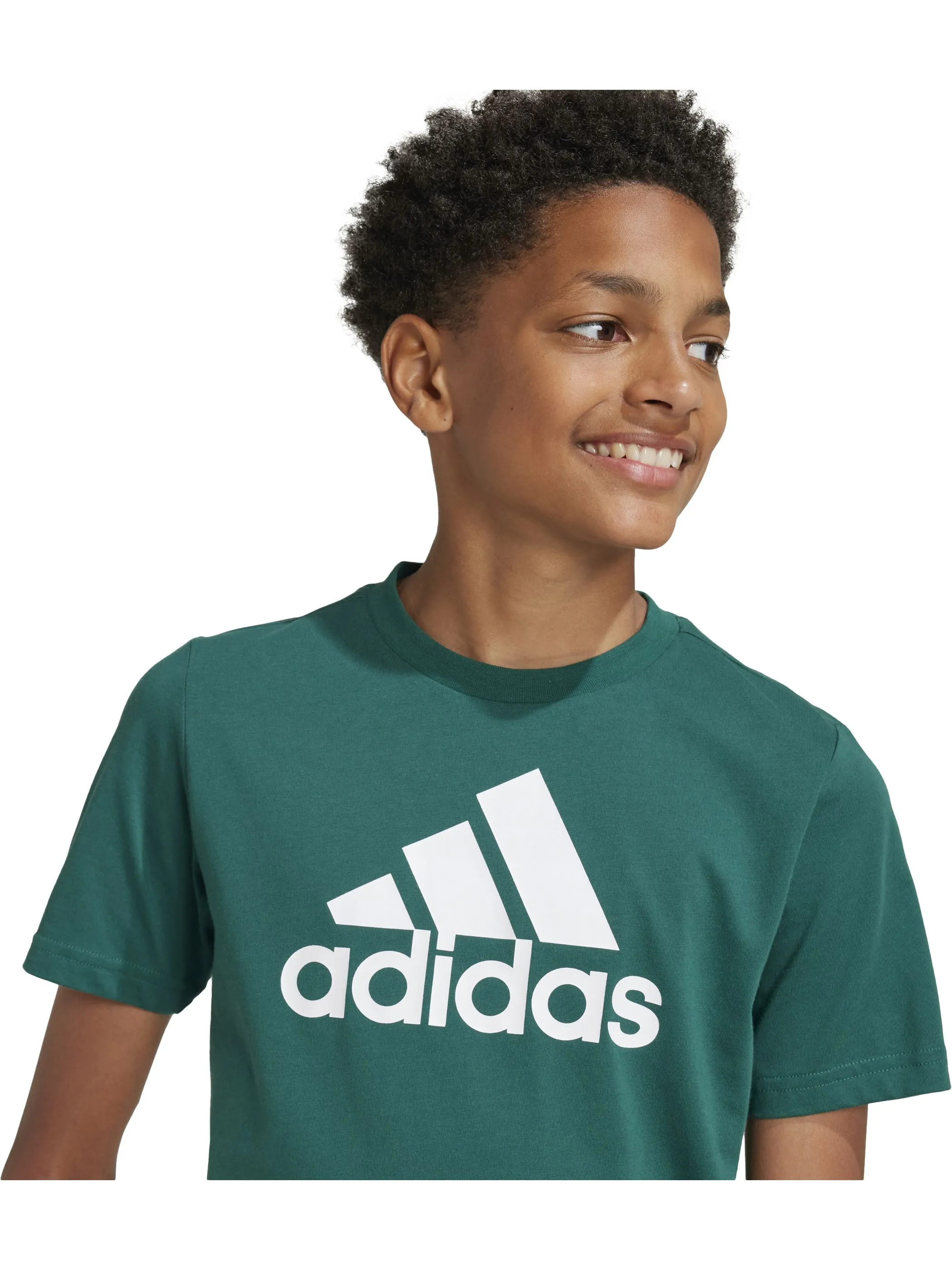 Adidas IX9569 TB-T-Shirt grün LOGO Grün 901279 000 4